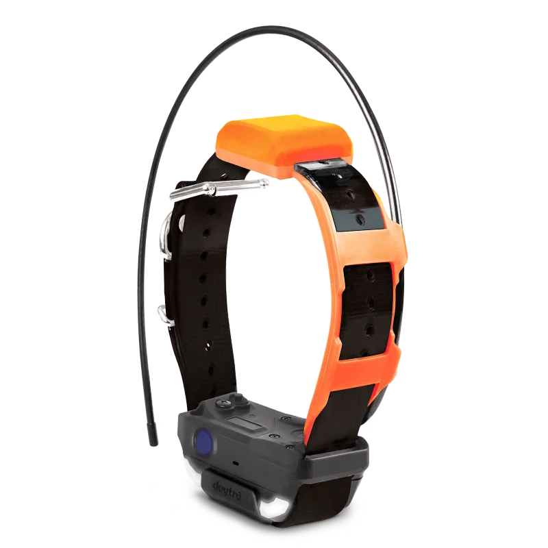 Dogtra GPS Ontvanger Pathfinder 2