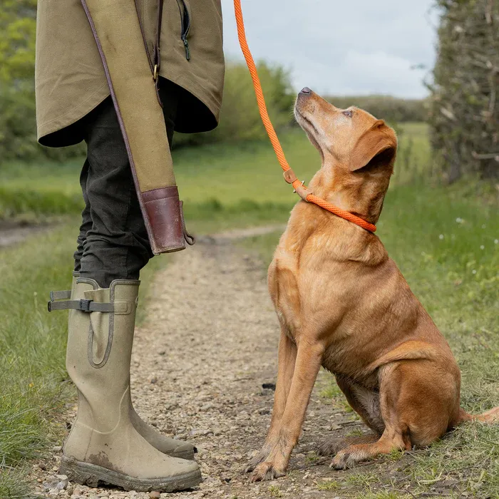Ruff And Tumble Sliplijn Tangerine 14MM