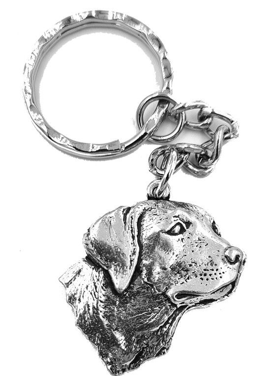 Sleutelhanger Labrador Tin