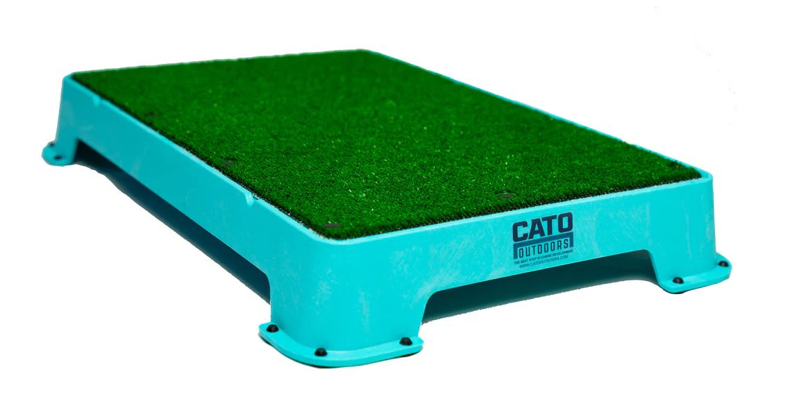 Sporting Saint Placeboard Cato Gras Turquoise