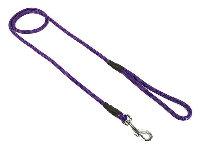 Mystique Field Trial Leiband Moxon 8 MM Met Karabijnhaak Lila