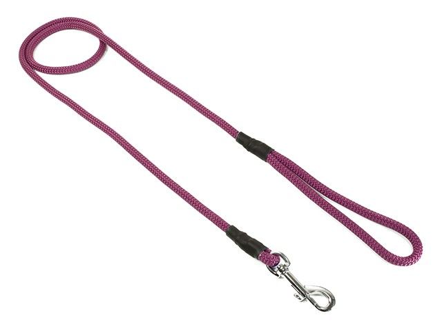 Mystique Field Trial Leiband Moxon 8 MM Met Karabijnhaak Paars