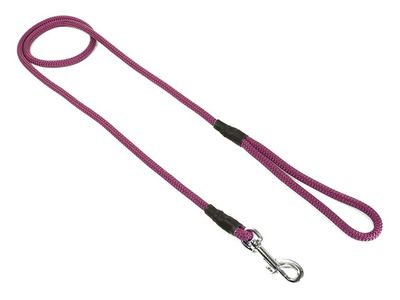 Mystique Field Trial Leiband Moxon 8 MM Met Karabijnhaak Paars