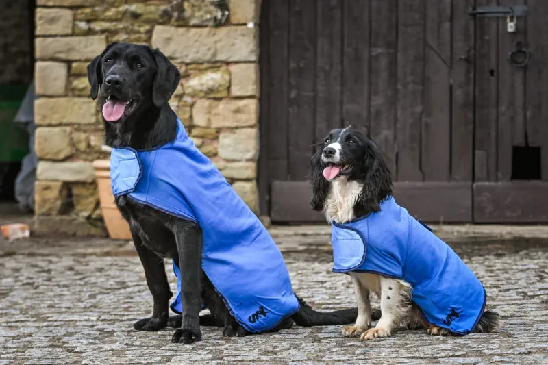 Sporting Saint Koelvest Blauw