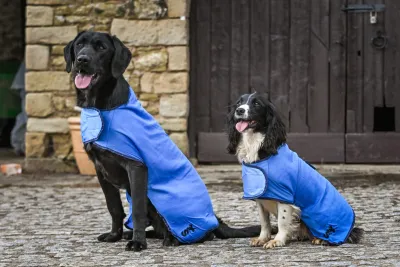 Sporting Saint Koelvest Blauw