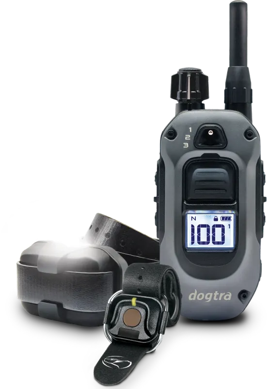 Dogtra Trainingshalsband 640X Handsfree