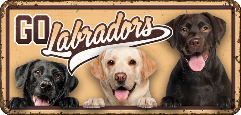 Waakbord Go Labradors