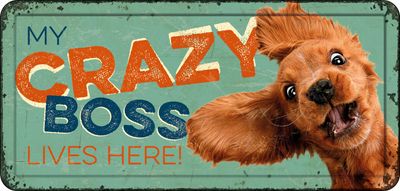Waakbord Crazy Boss Here Waakbord Crazy Boss Here