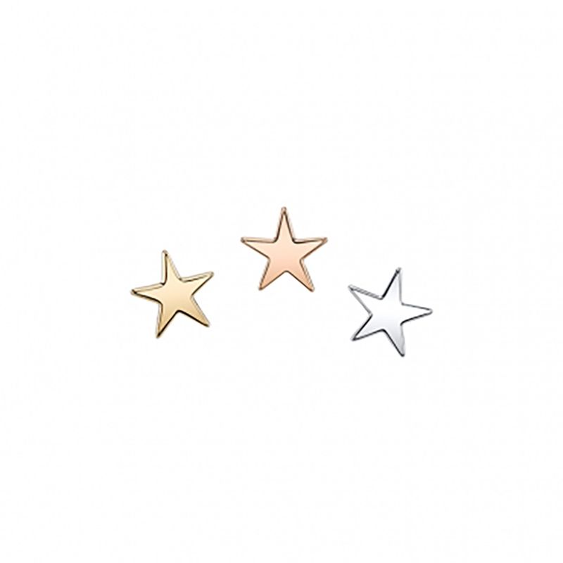 BVLA Pin - Flat Star
