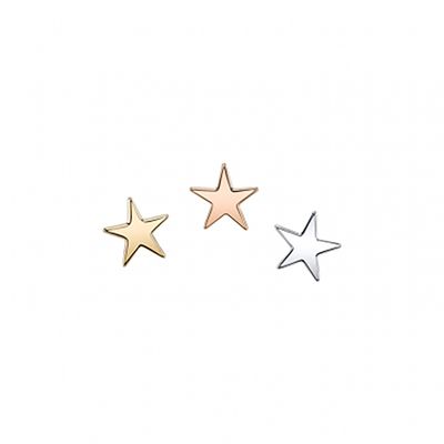 BVLA Pin - Flat Star