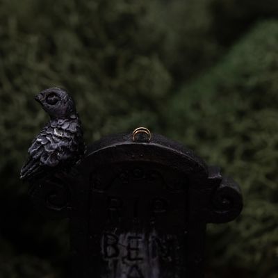 BVLA Pin - Crescent Moon