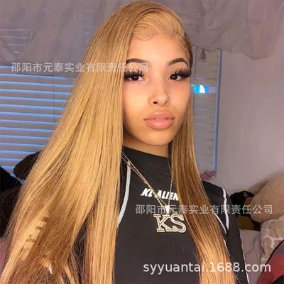 Blonde Brown13 * 4 Front Lace Long Straight Hair Headgear