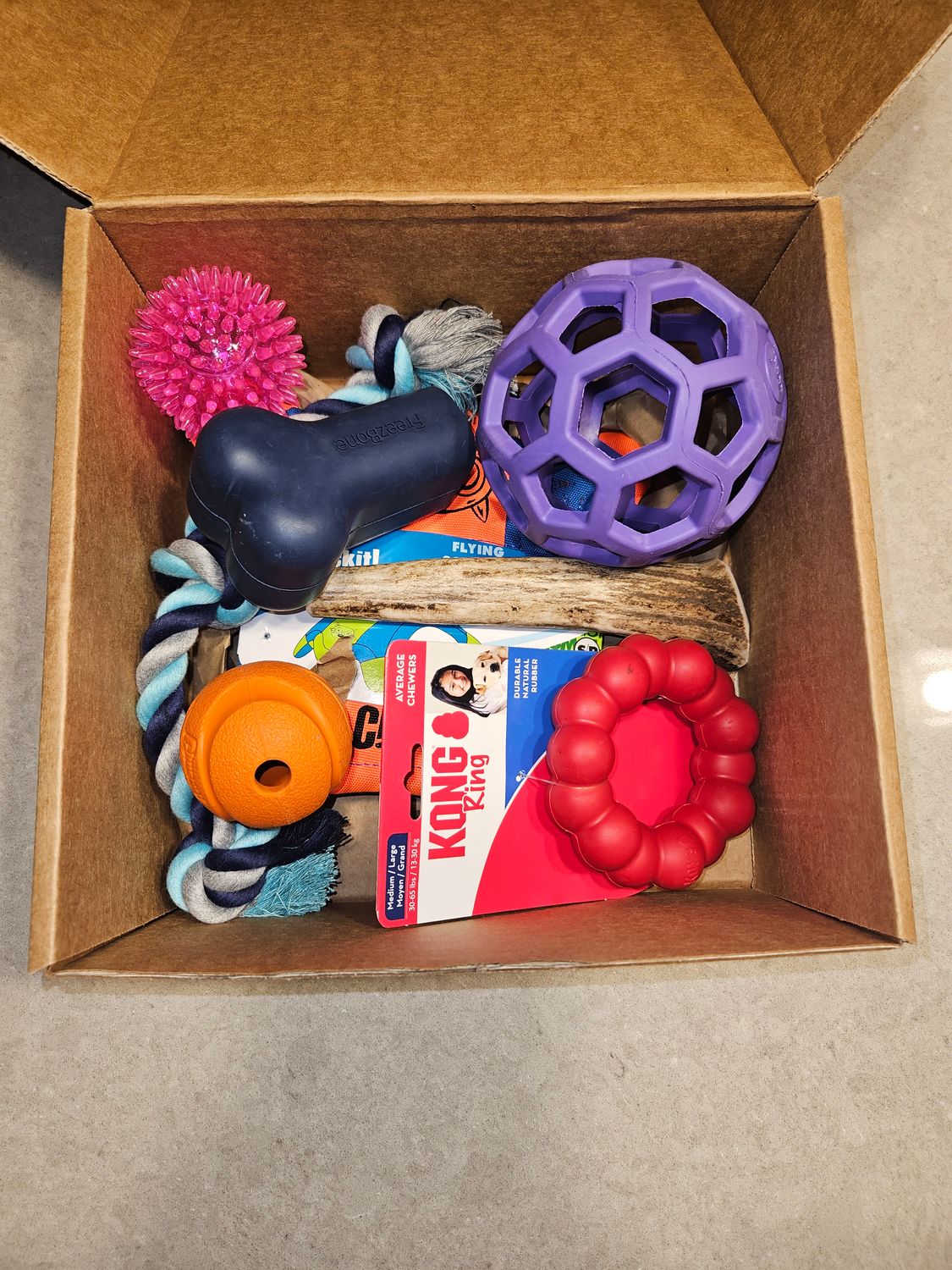 Unleash The Fun Bundle - Large Dog