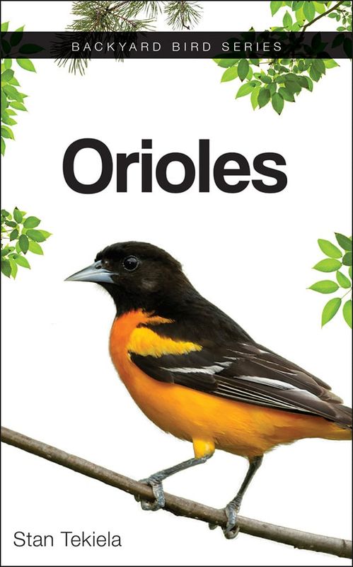 BOOK - ORIOLES