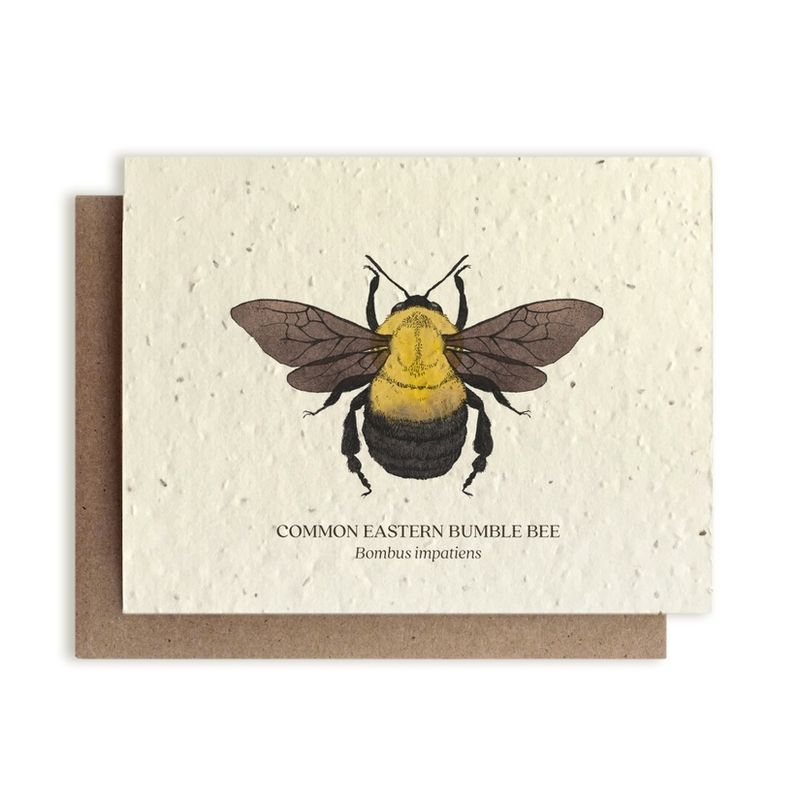 The Bower Studio Seed Card Insects