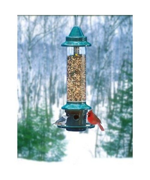 SQUIRREL BUSTER - PLUS