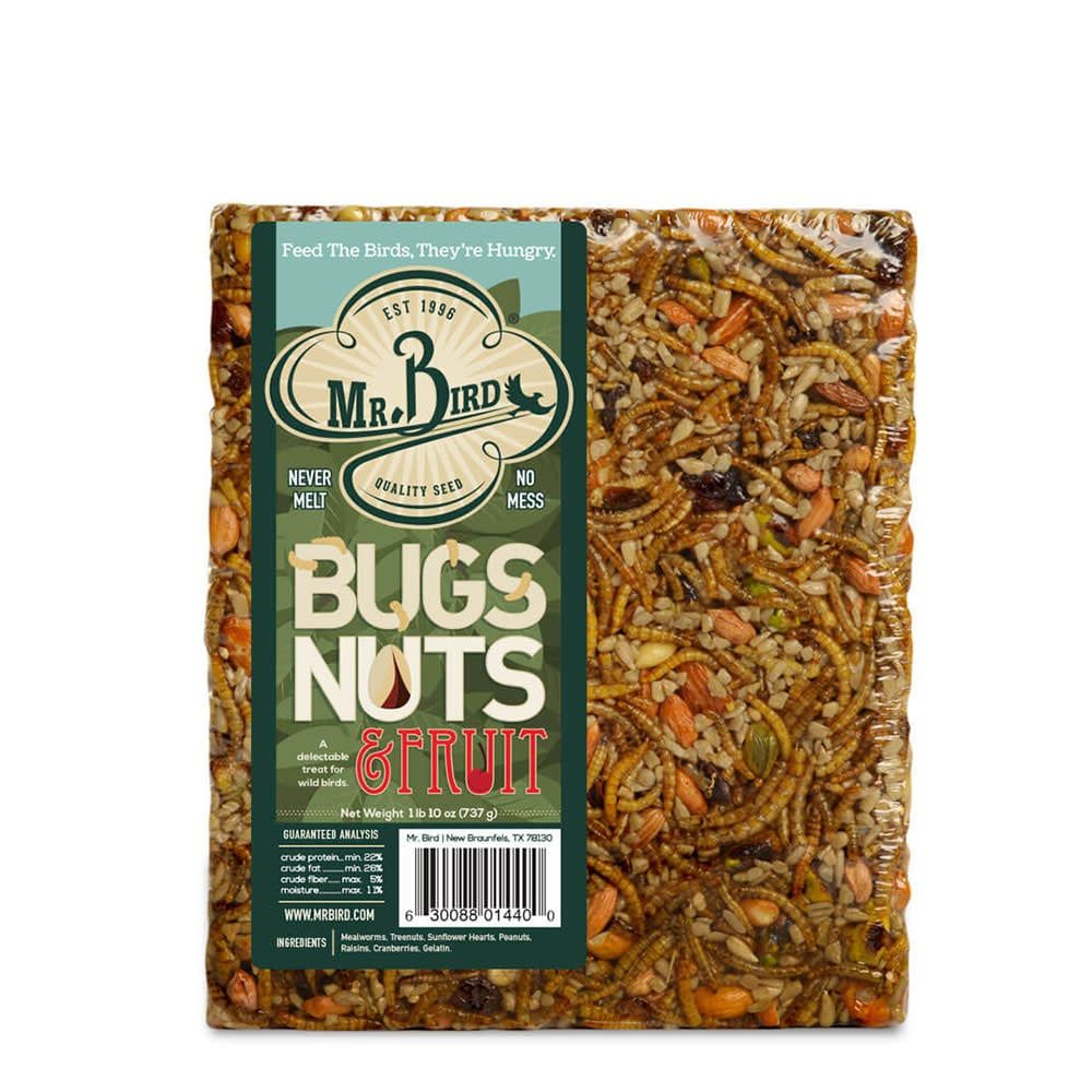 Bugs, Nuts &amp; Fruit Seed Cake