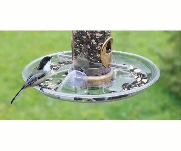SEED TUBE TRAY