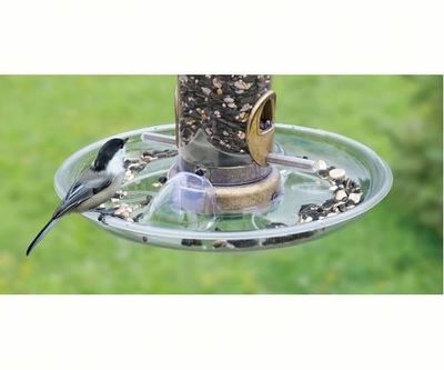 SEED TUBE TRAY