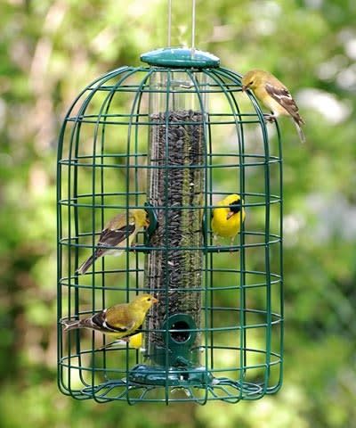 Audubon Caged Tube Feeder