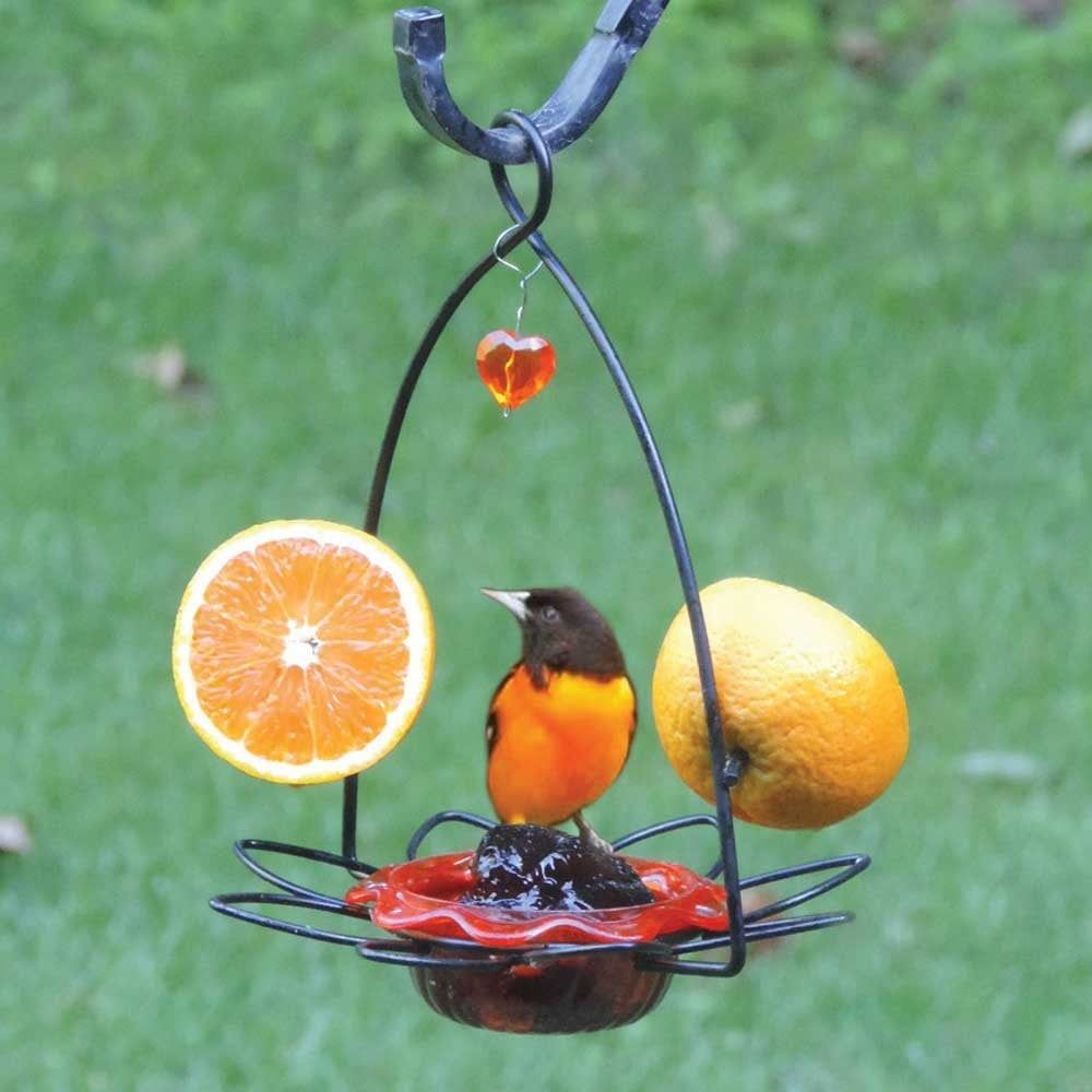 ORIOLE FLOWER FEEDER