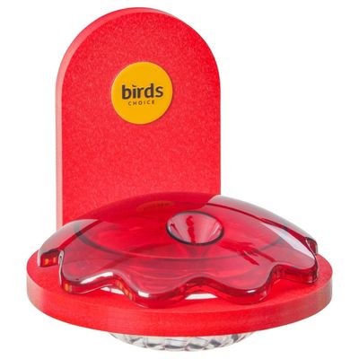 Window Mount Hummingbird Feeder