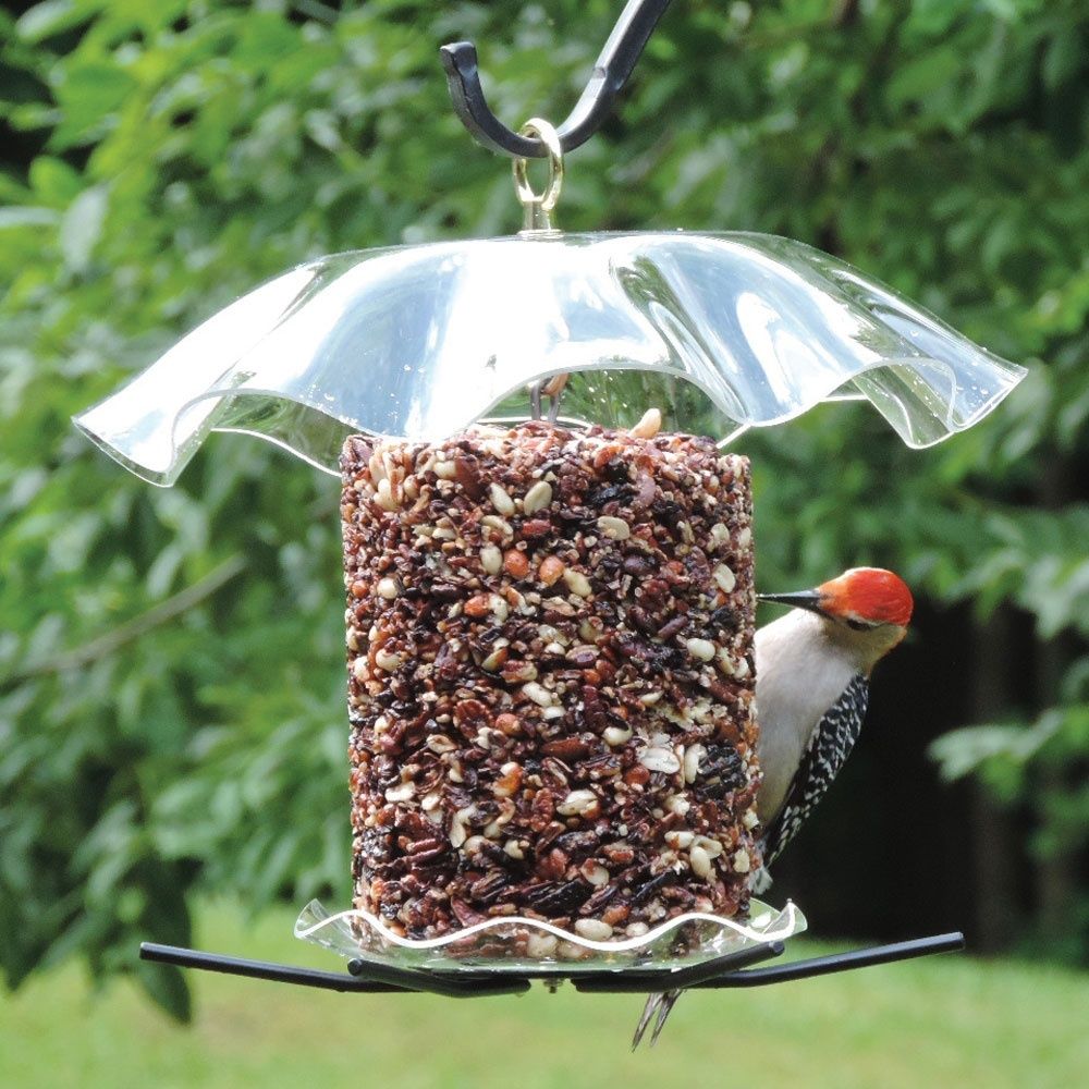 SEED CYLINDER FEEDER - Acrylic (Top &amp; Bottom)