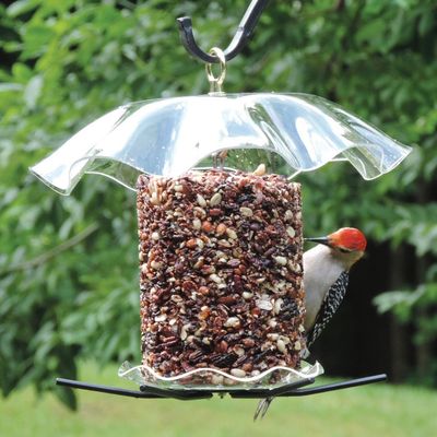 SEED CYLINDER FEEDER - Acrylic (Top &amp; Bottom)