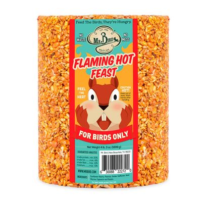 Flaming Hot Feast Large Cylinder
