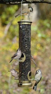 Seed Tube Feeder