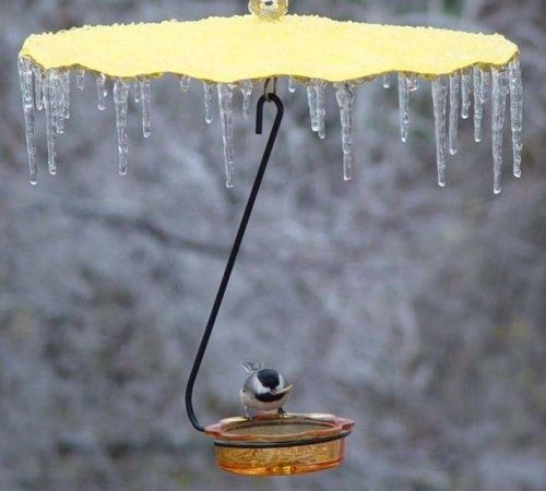 Weather Guard