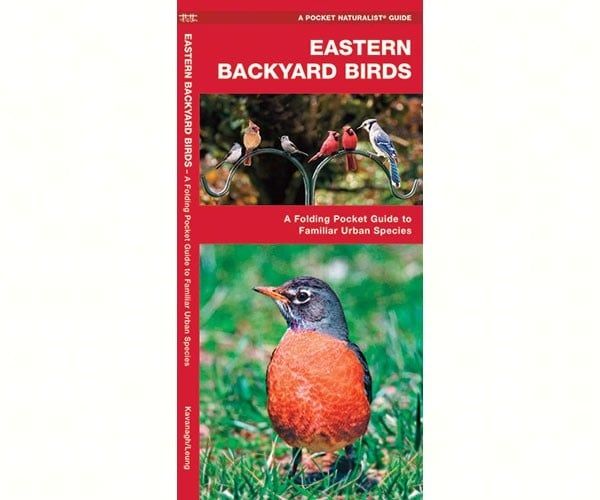 EASTERN BACKYARD BIRDS BY JAMES KAVANAGH