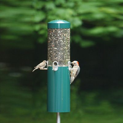 CLASSICS FEEDER W/SQRL BAFFLE POLE