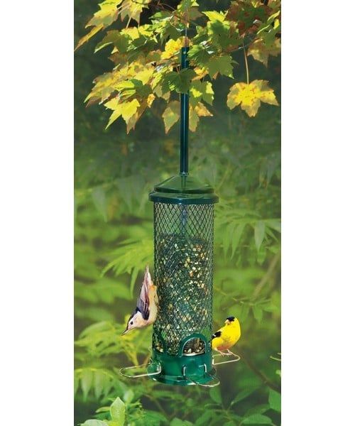 SQUIRREL BUSTER - MINI