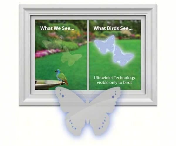 Window Decals