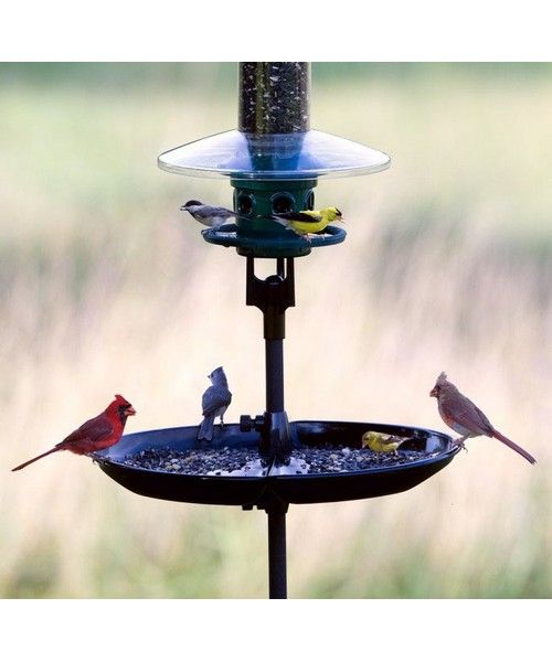 SQUIRREL BUSTER - SEED BUSTER TRAY &amp; CATCH single