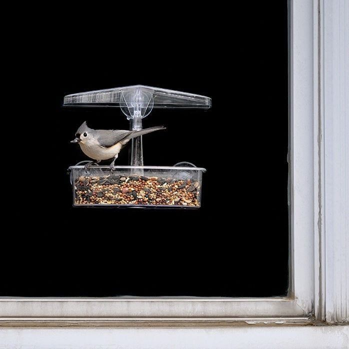 Observer Window Feeder