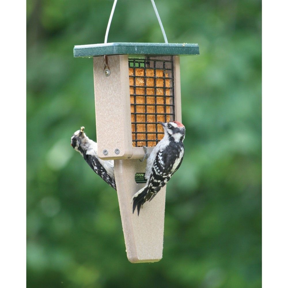 Single Tail Prop Suet Feeder (Recycled)