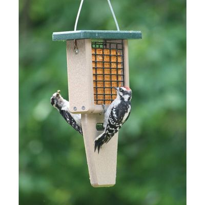 Single Tail Prop Suet Feeder (Recycled)