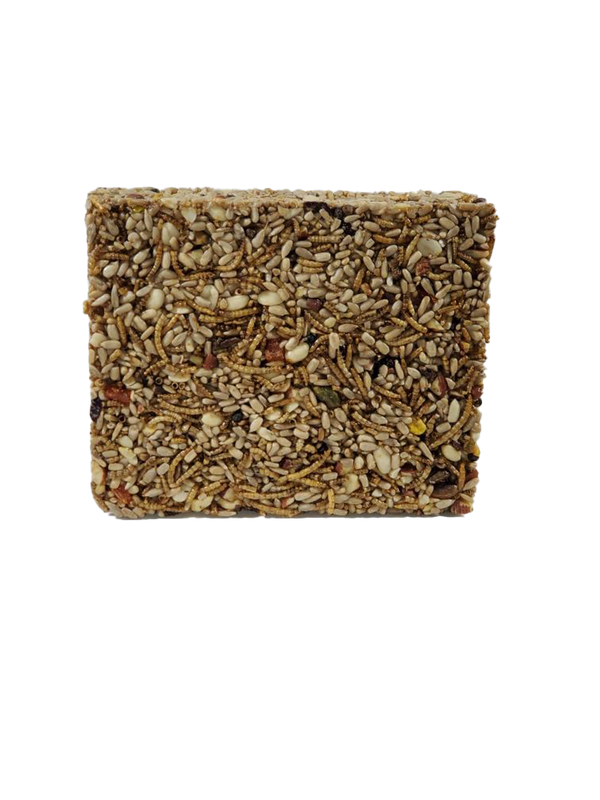 BUGS, NUTS, &amp; BERRIES Large Seed Cake single