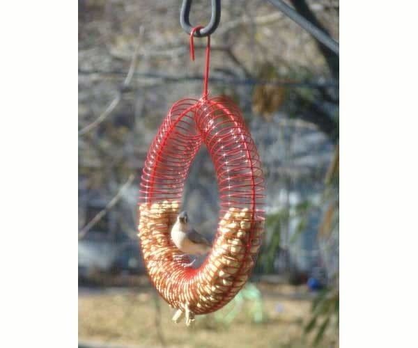 WHOLE PEANUT WREATH RED