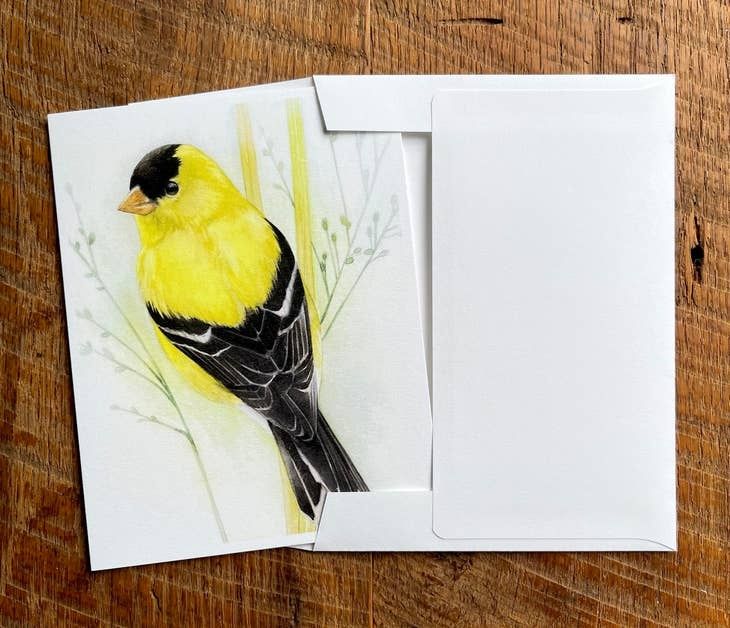American Goldfinch - Blank Note Card