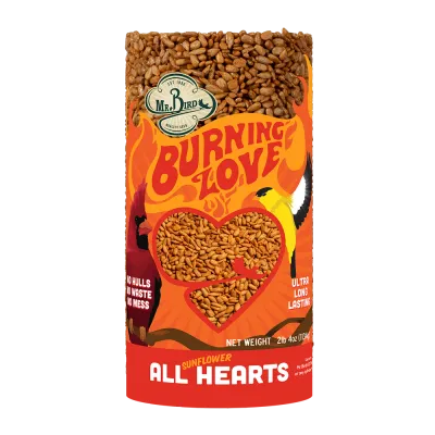 &quot;Burning Love&quot; Small Cylinder single
