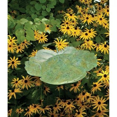 Greenleaf Bird Bath