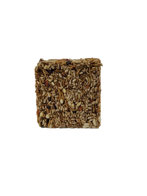 BUGS, NUTS, &amp; BERRIES Small Seed Cake single