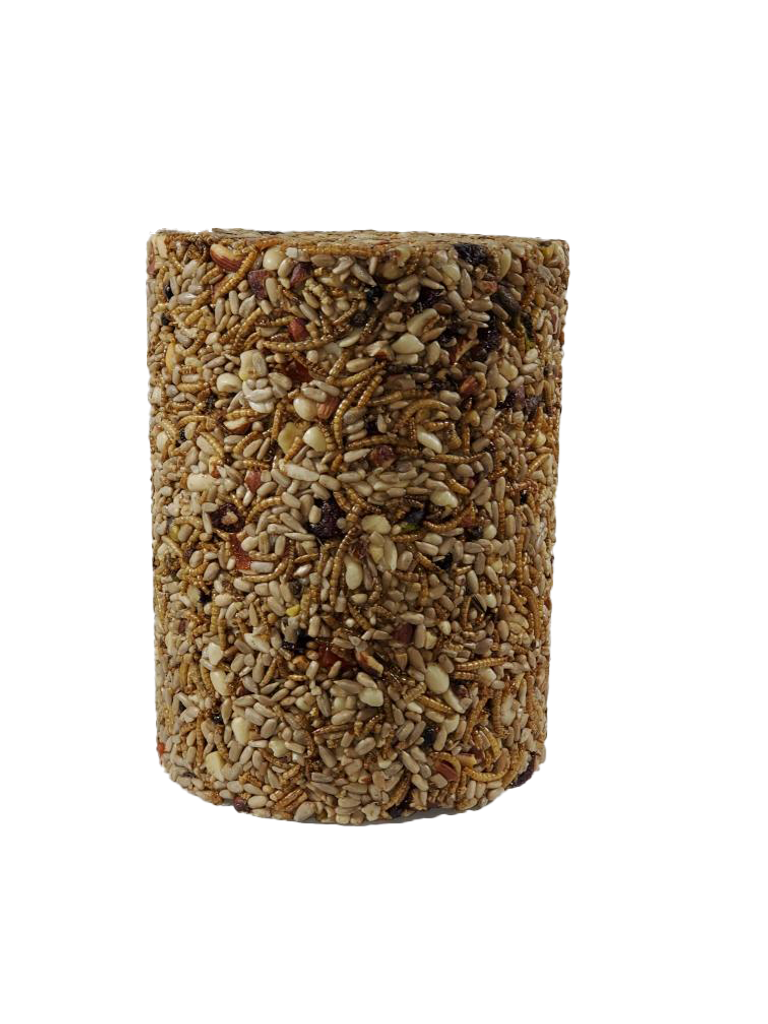 BUGS, NUTS, &amp; BERRIES Large Seed Cylinder single
