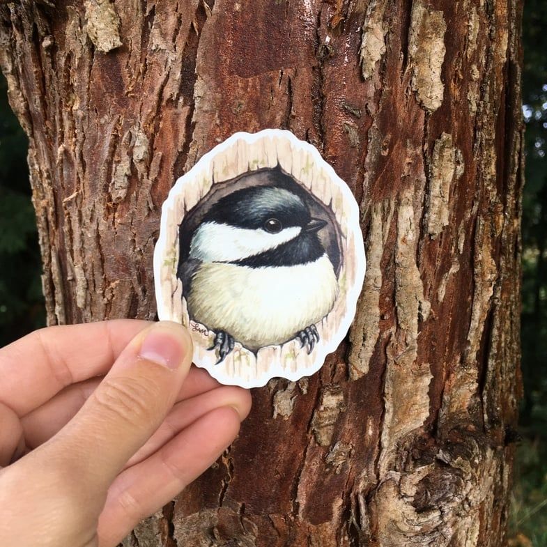 MAGNET - Chickadee in Cavity 3&quot;