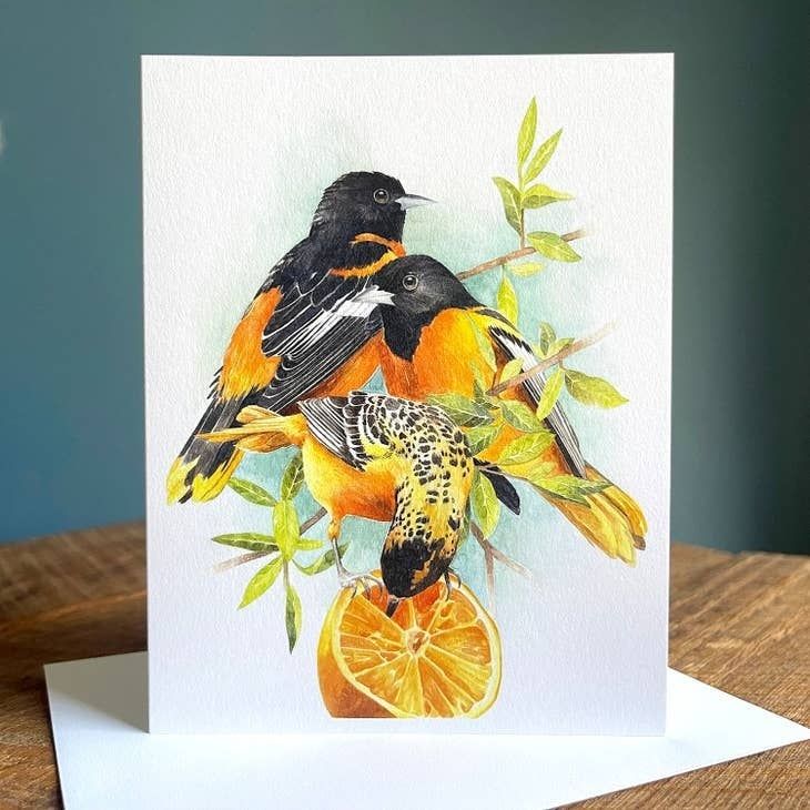 Baltimore Orioles - Blank Note Card
