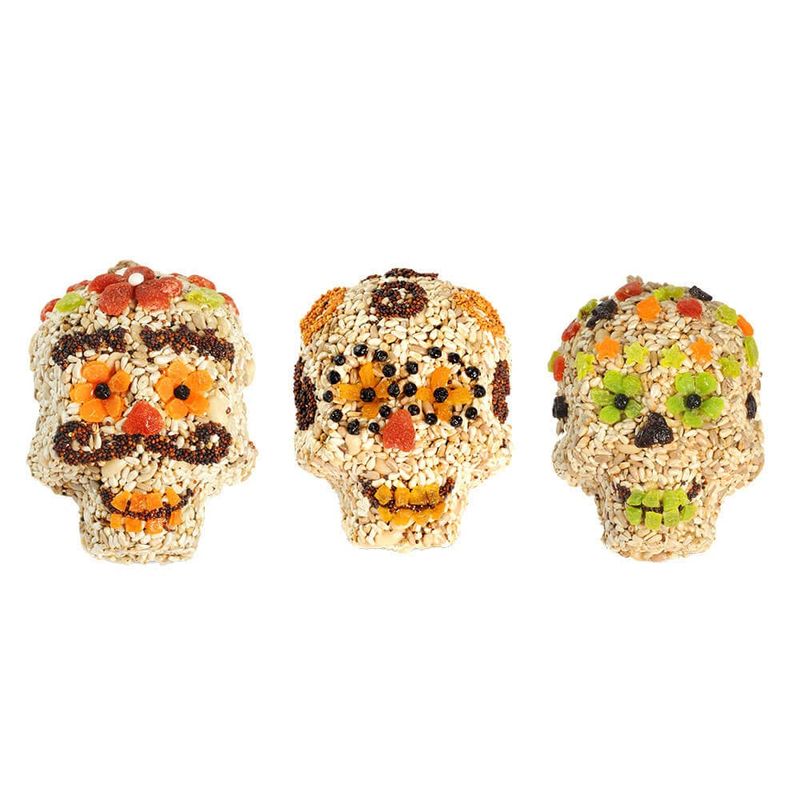 SEED SKULL (Clalvera)