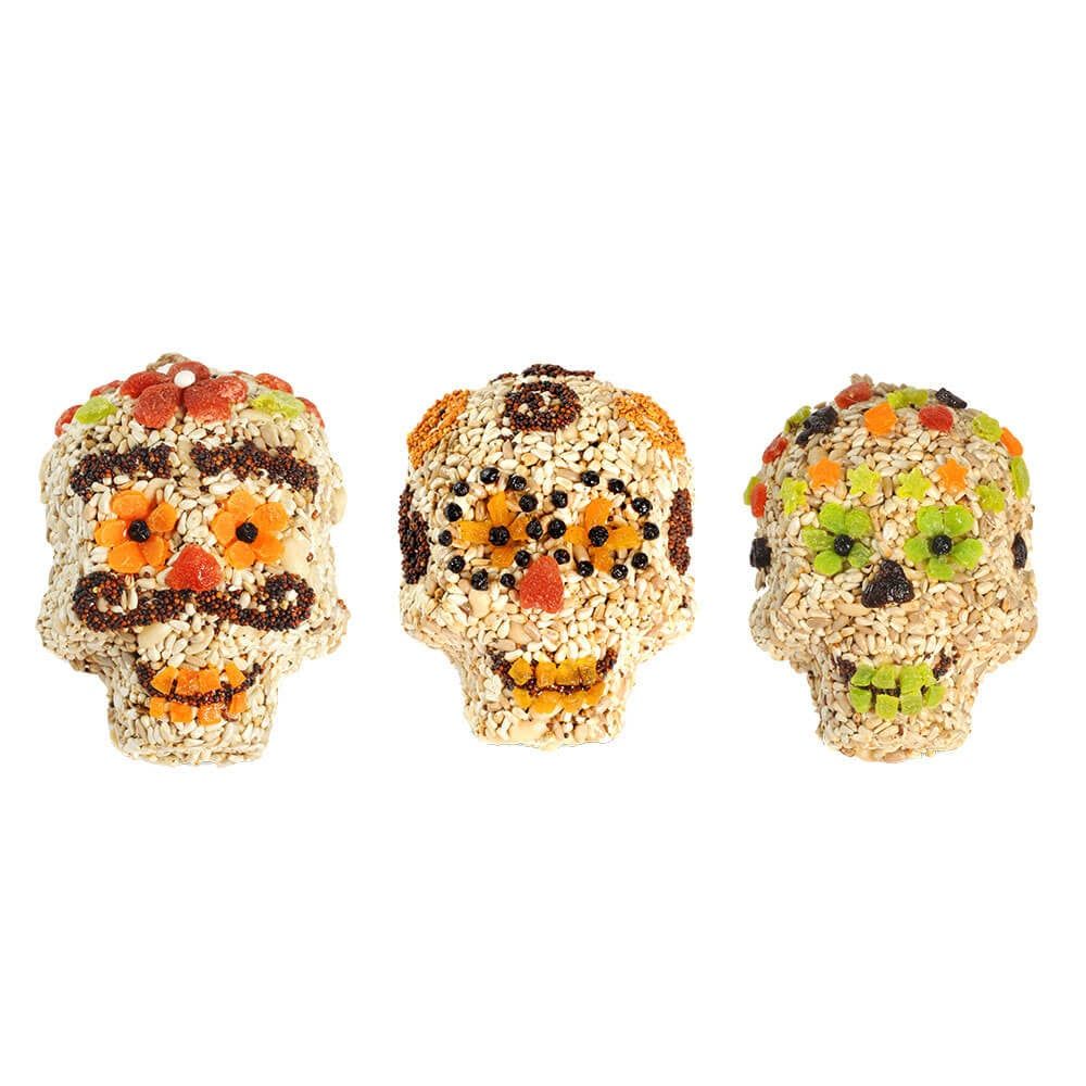 SEED SKULL (Clalvera)